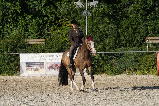 sA9K06156.JPG
